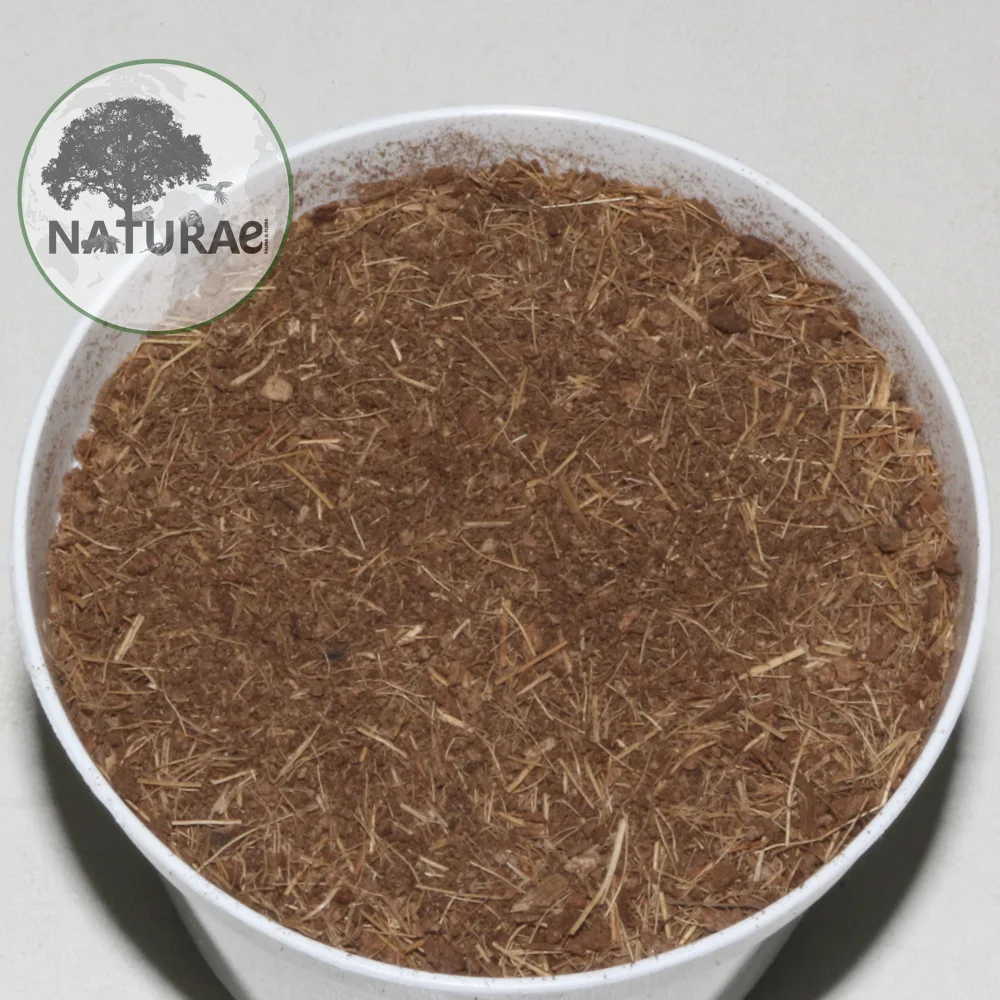 Naturae Fauna & Flora Strato Coconut Bark 2