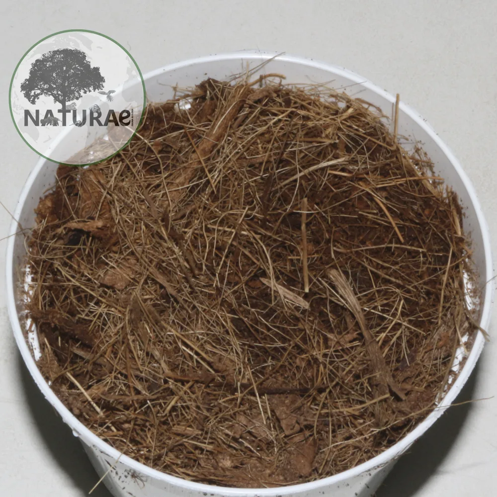 Naturae Fauna & Flora Strato Coconut Bark 4