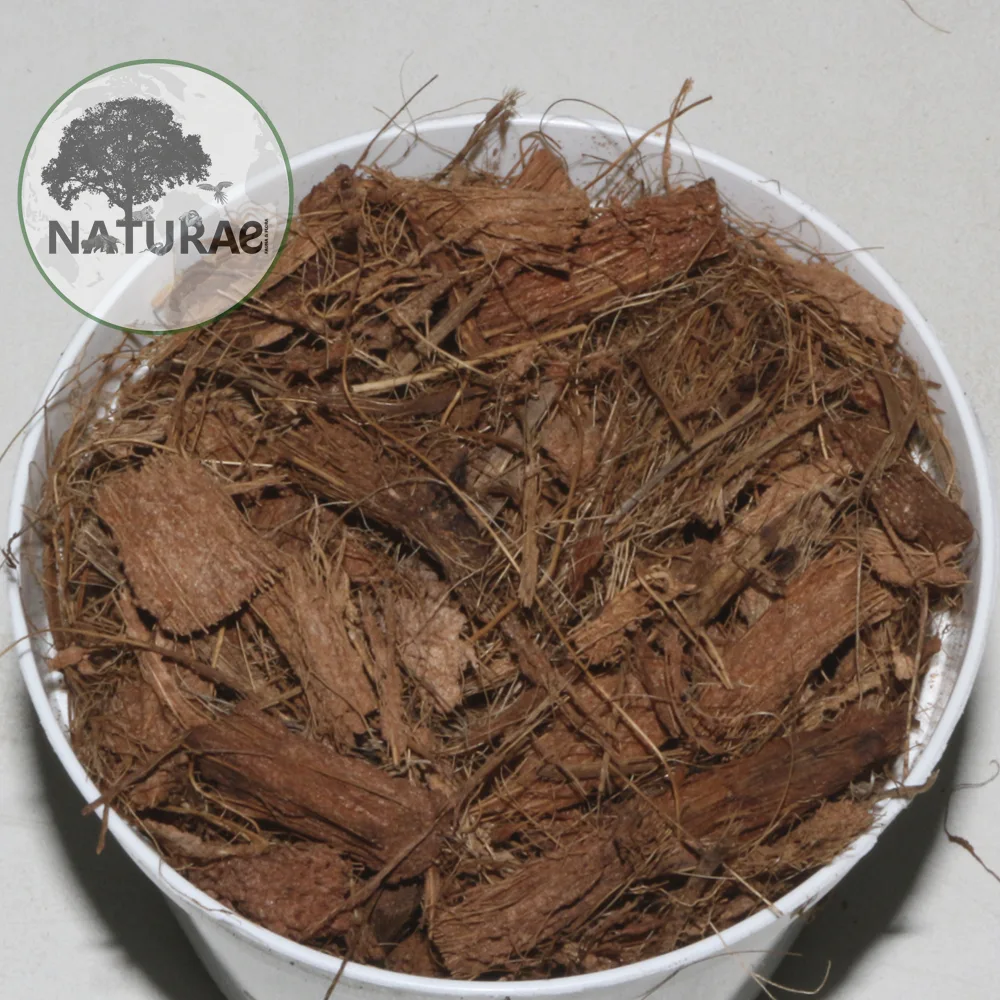 Naturae Fauna & Flora Strato Coconut Bark 5