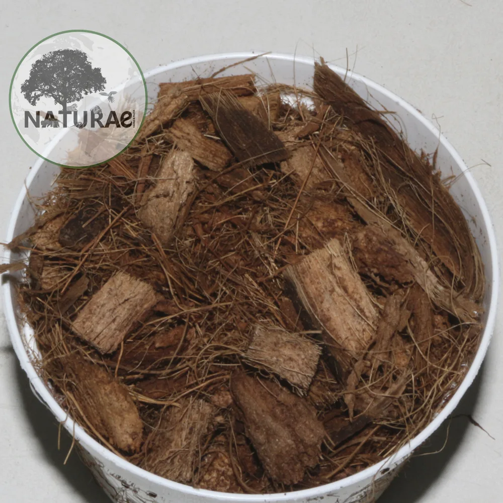 Naturae Fauna & Flora Strato Coconut Bark 6