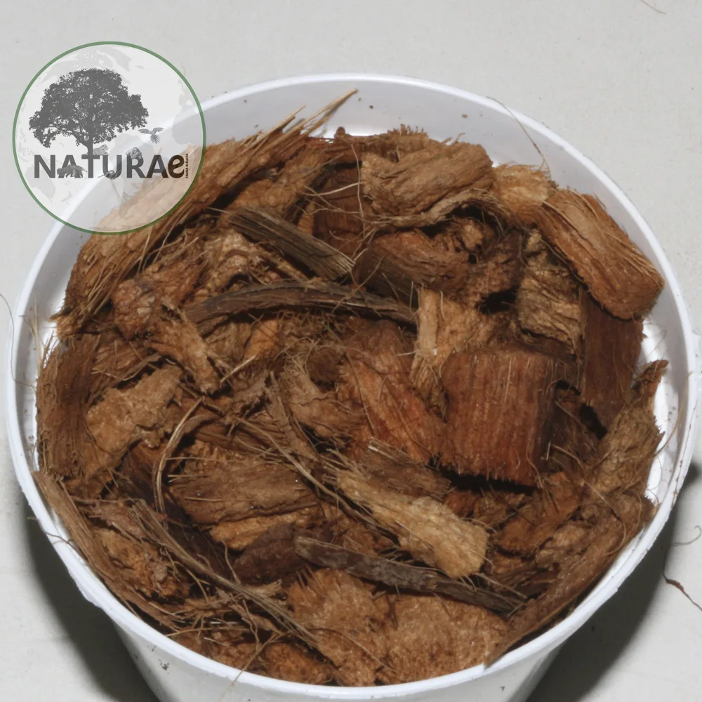 Naturae Fauna & Flora Strato Coconut Bark 7