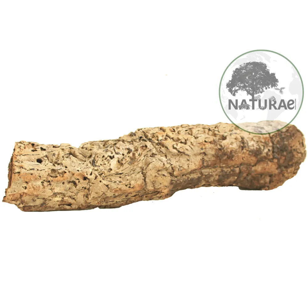 Cork Bark Cavae Toca Esconderijo Natural Para Répteis E Anfíbios 11