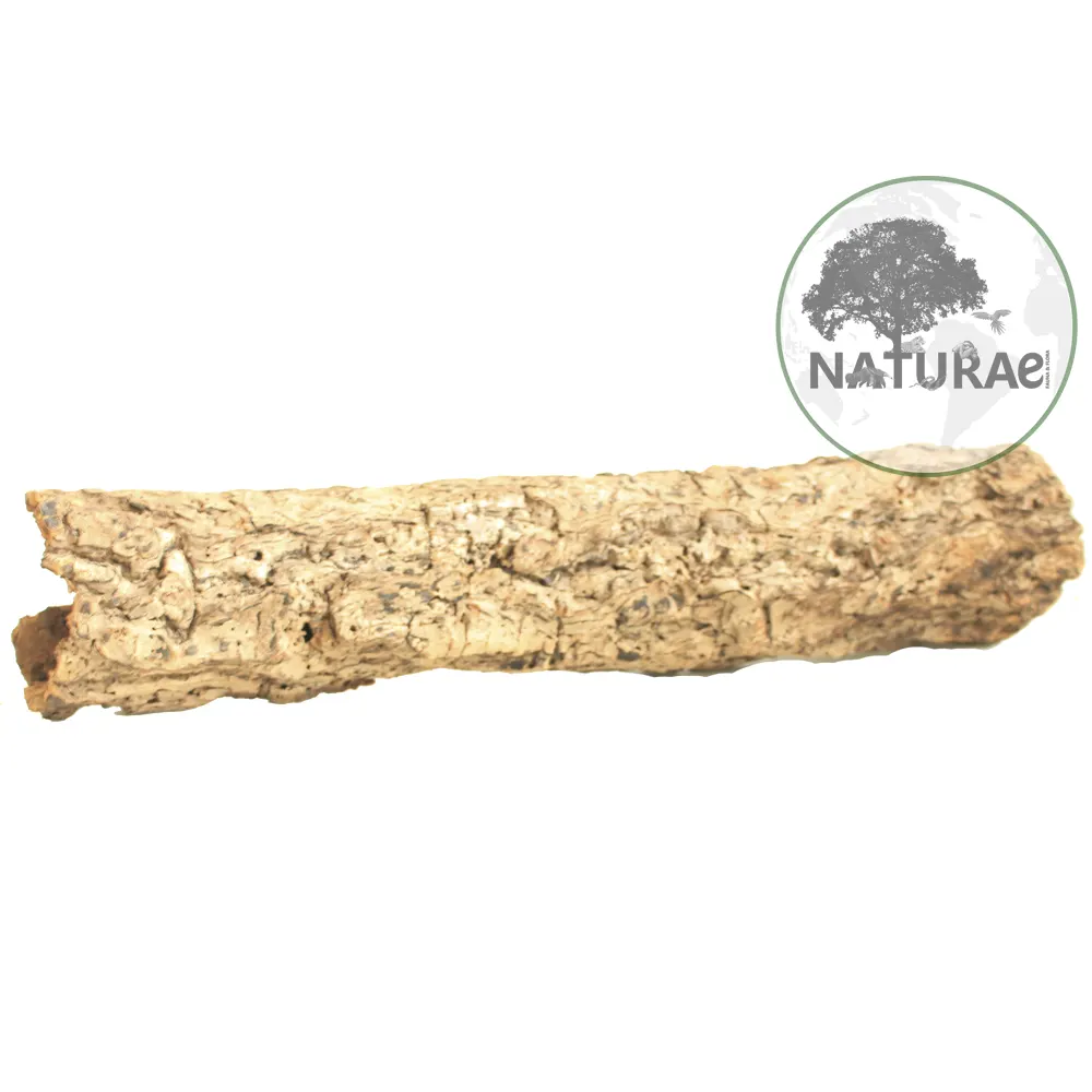 Cork Bark Cavae Toca Esconderijo Natural Para Répteis E Anfíbios 15